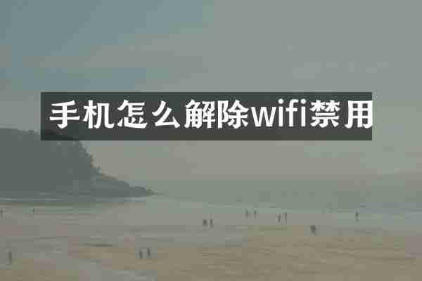 手机怎么解除wifi禁用