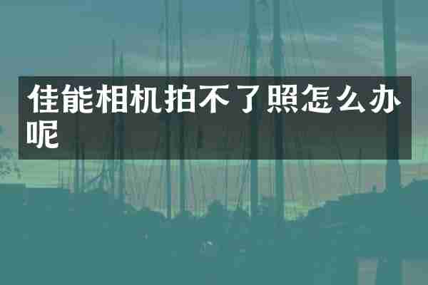 佳能相机拍不了照怎么办呢