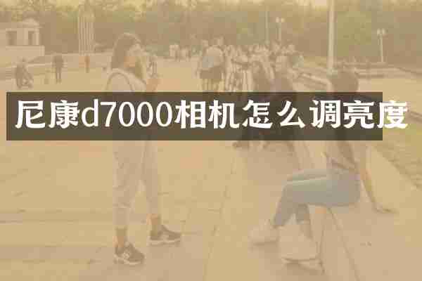尼康d7000相机怎么调亮度