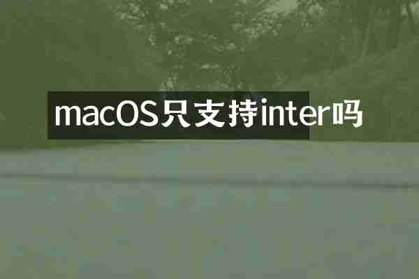 macOS只支持inter吗