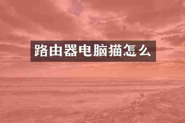 路由器电脑猫怎么