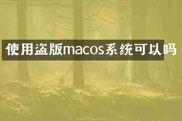 使用macos系统可以吗