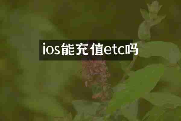 ios能充值etc吗