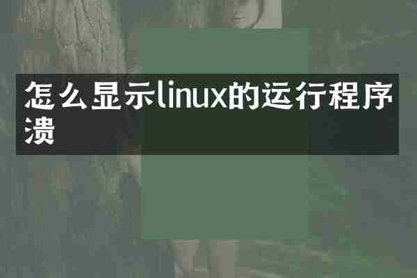怎么显示linux的运行程序崩溃