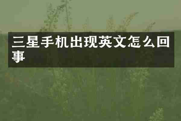 三星手机出现英文怎么回事