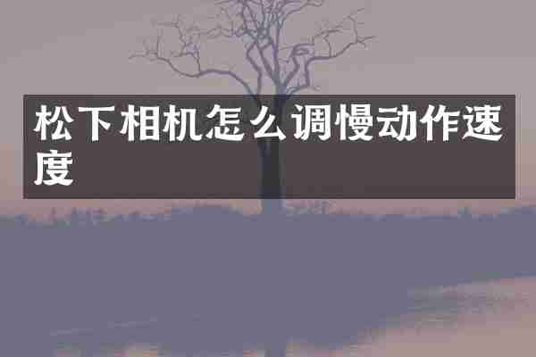 相机怎么调慢动作速度