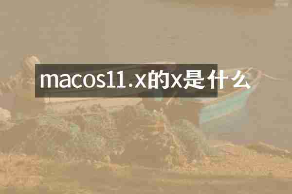 macos11.x的x是什么