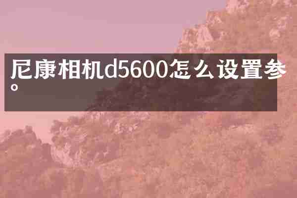 尼康相机d5600怎么设置参数