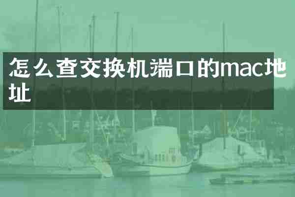 怎么查交换机端口的mac地址