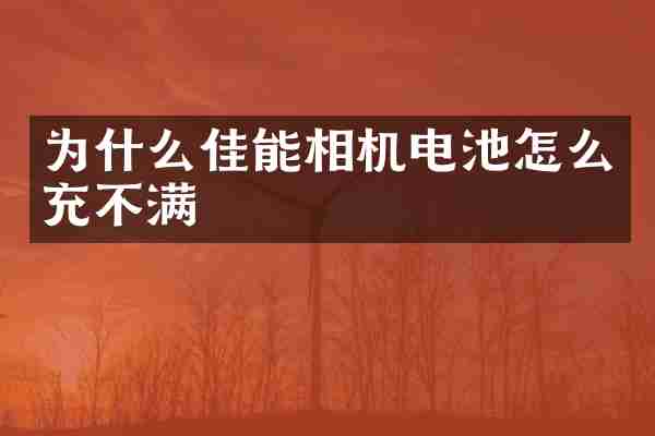 为什么佳能相机电池怎么充不满