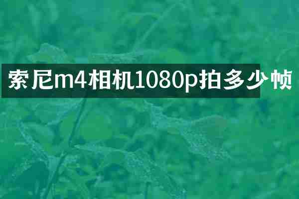 m4相机1080p拍多少帧