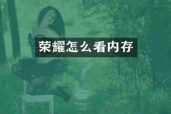 荣耀怎么看内存