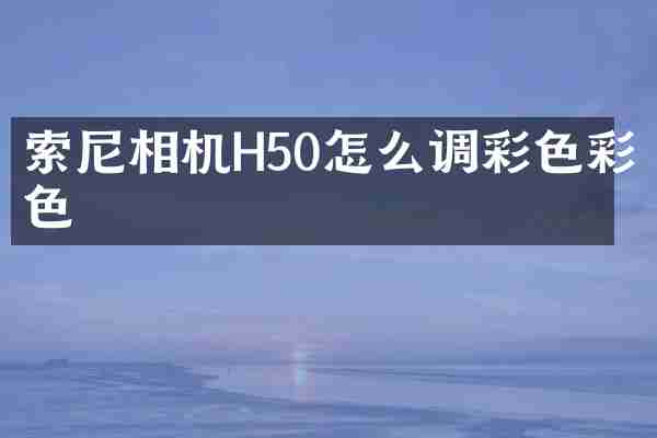 相机H50怎么调彩色彩色