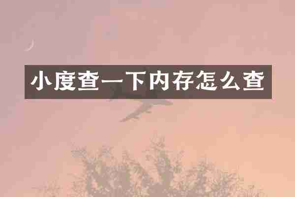 小度查一下内存怎么查