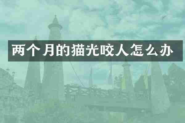 两个月的猫光咬人怎么办