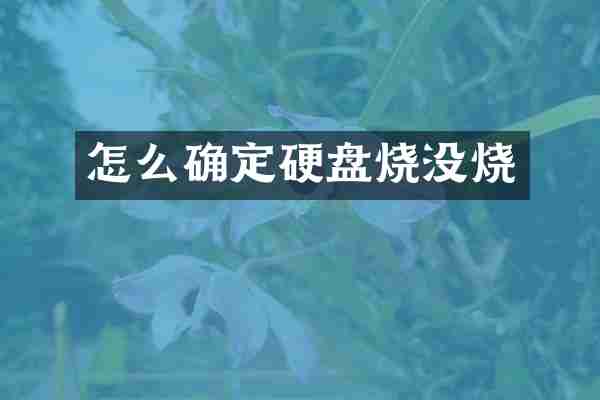 怎么确定硬盘烧没烧