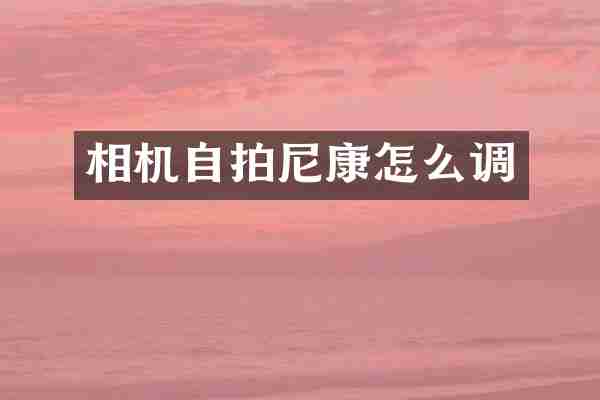 相机尼康怎么调