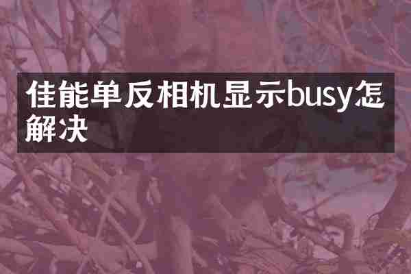 佳能单反相机显示busy怎么解决