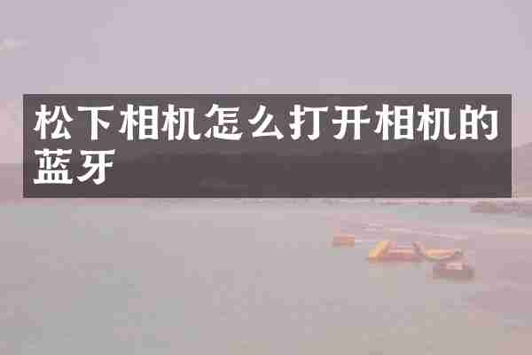 松下相机怎么打开相机的蓝牙
