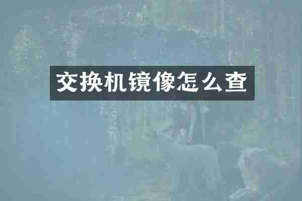 交换机镜像怎么查