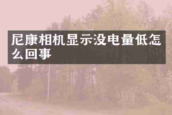 尼康相机显示没电量低怎么回事