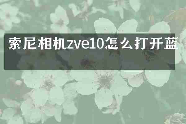 相机zve10怎么打开蓝牙