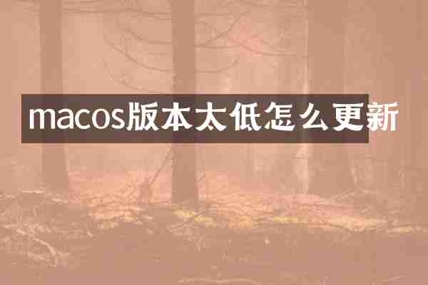 macos版本太低怎么更新
