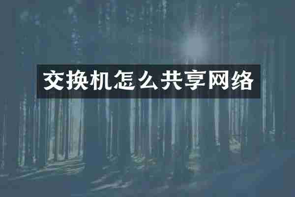 交换机怎么共享网络