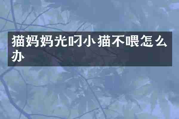 猫妈妈光叼小猫不喂怎么办