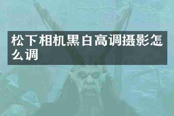 松下相机黑白高调摄影怎么调