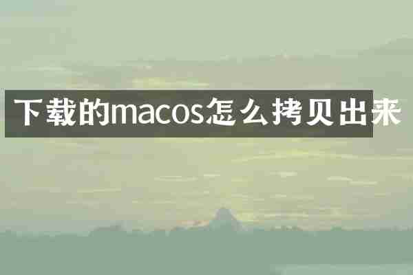 下载的macos怎么拷贝出来
