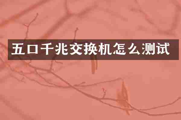 五口千兆交换机怎么测试