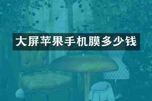 大屏苹果手机膜多少钱
