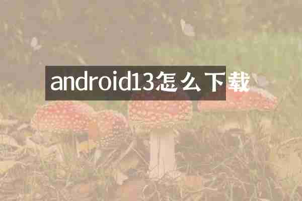 android13怎么下载