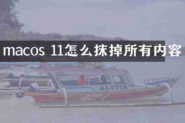 macos 11怎么抹掉所有内容