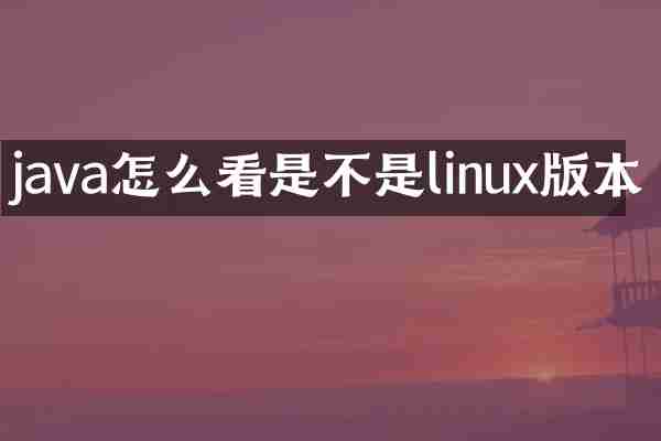 java怎么看是不是linux版本