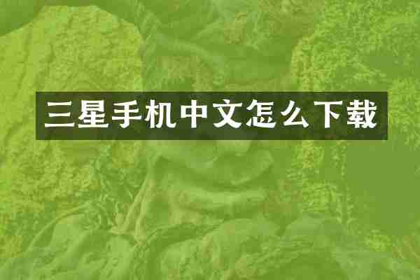 三星手机中文怎么下载