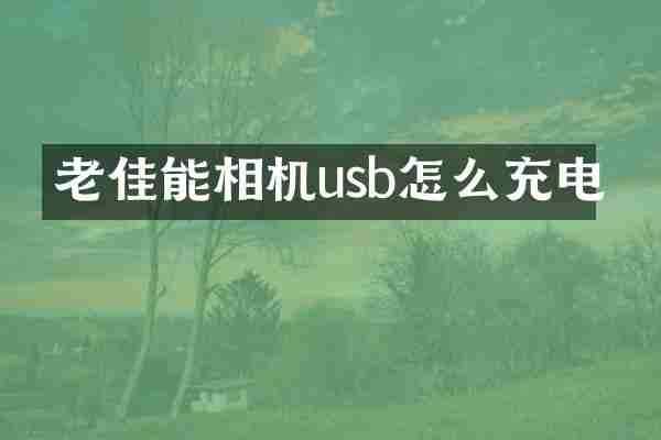 老佳能相机usb怎么充电