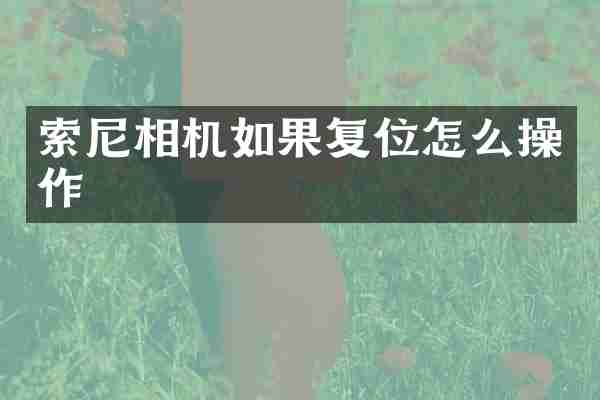 相机如果复位怎么操作