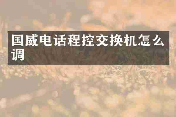 国威电话程控交换机怎么调