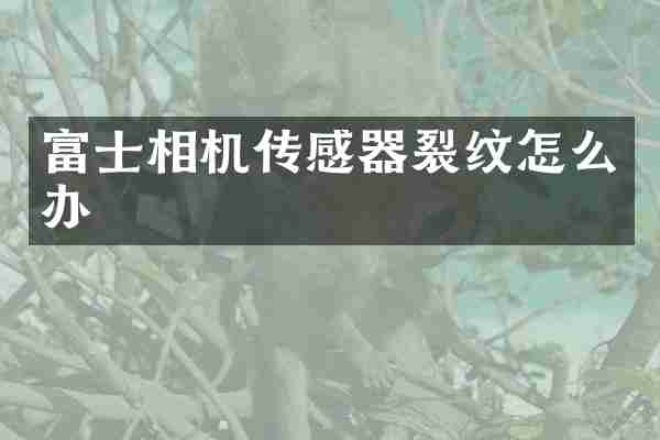富士相机传感器裂纹怎么办