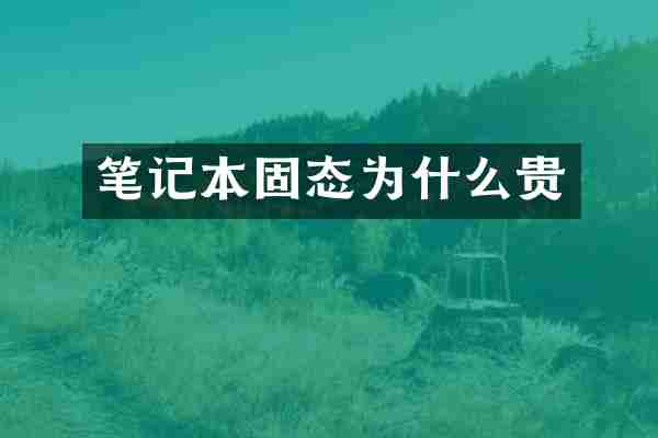 笔记本固态为什么贵