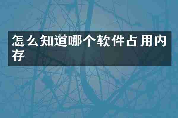 怎么知道哪个软件占用内存