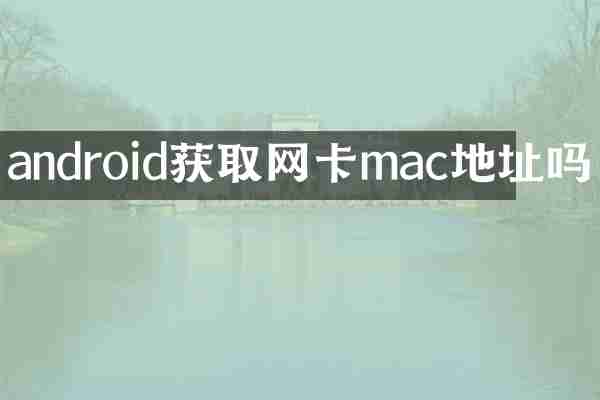 android获取网卡mac地址吗