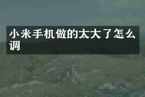 小米手机做的太大了怎么调