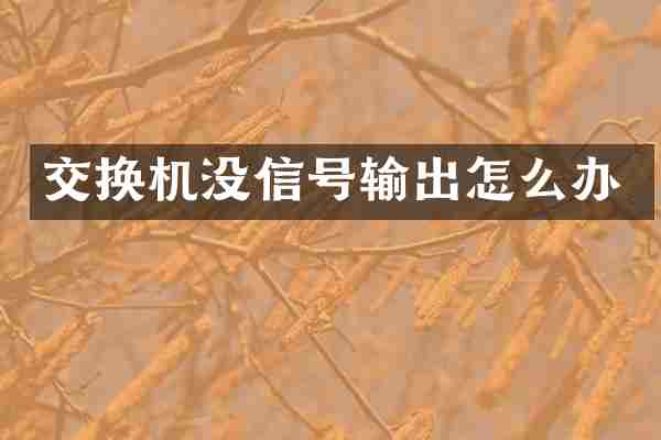 交换机没信号输出怎么办