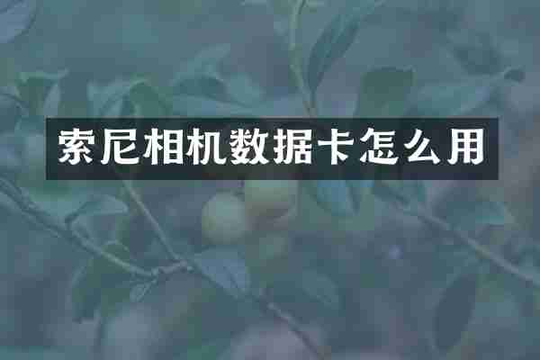相机数据卡怎么用