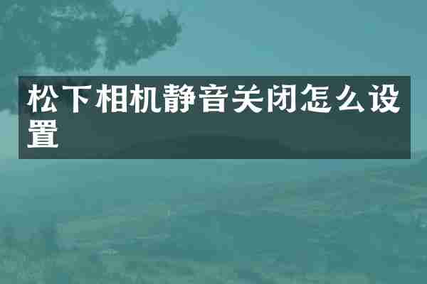 松下相机静音关闭怎么设置