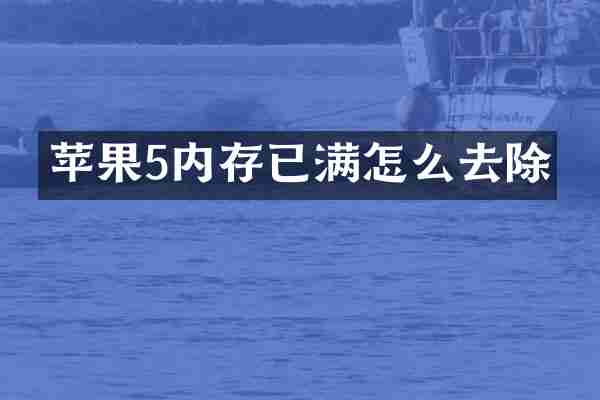 苹果5内存已满怎么去除