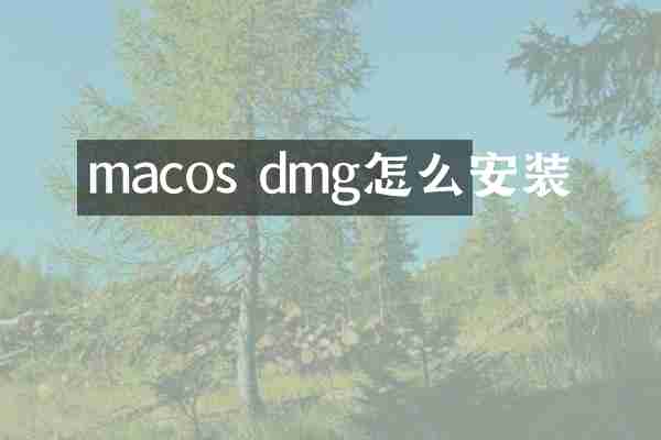 macos dmg怎么安装